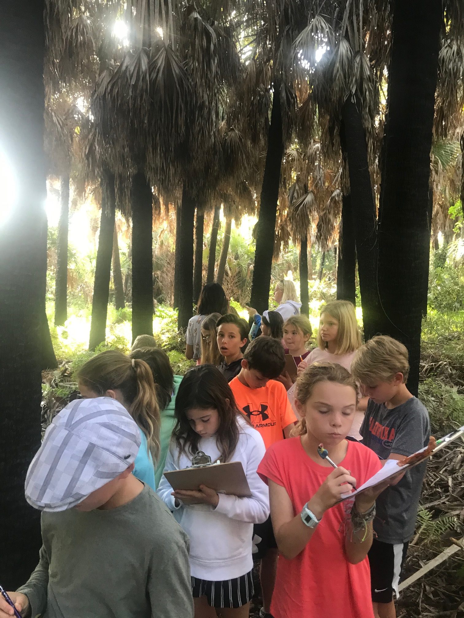 xp6vinuci9rayxn8zlpg