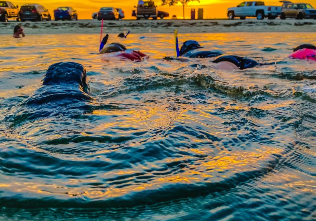 img-62a8e3c9b776a75a3c6cd7a6