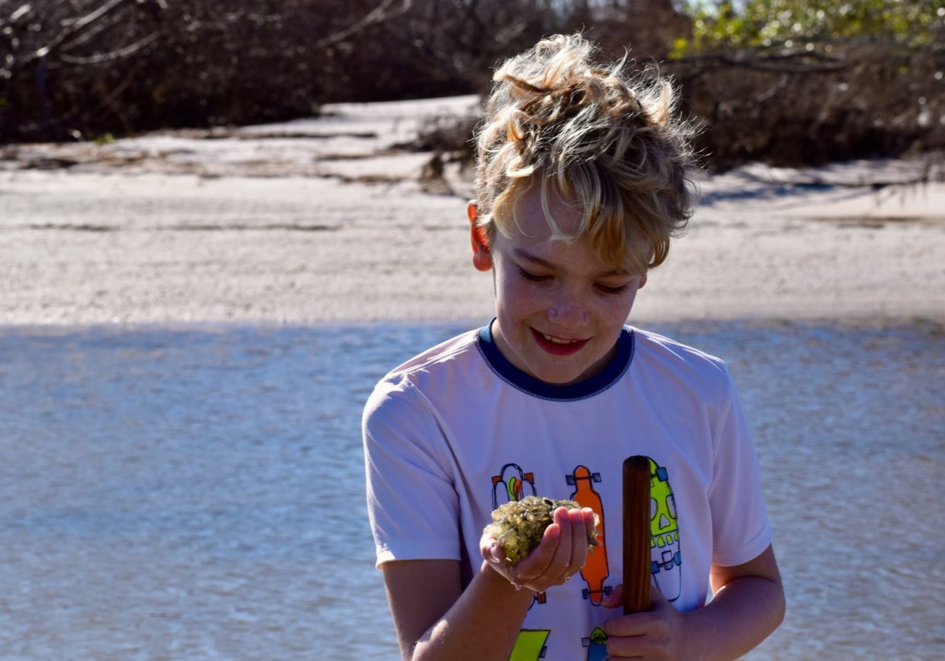 img-63b83e548f3d517cbd74e372