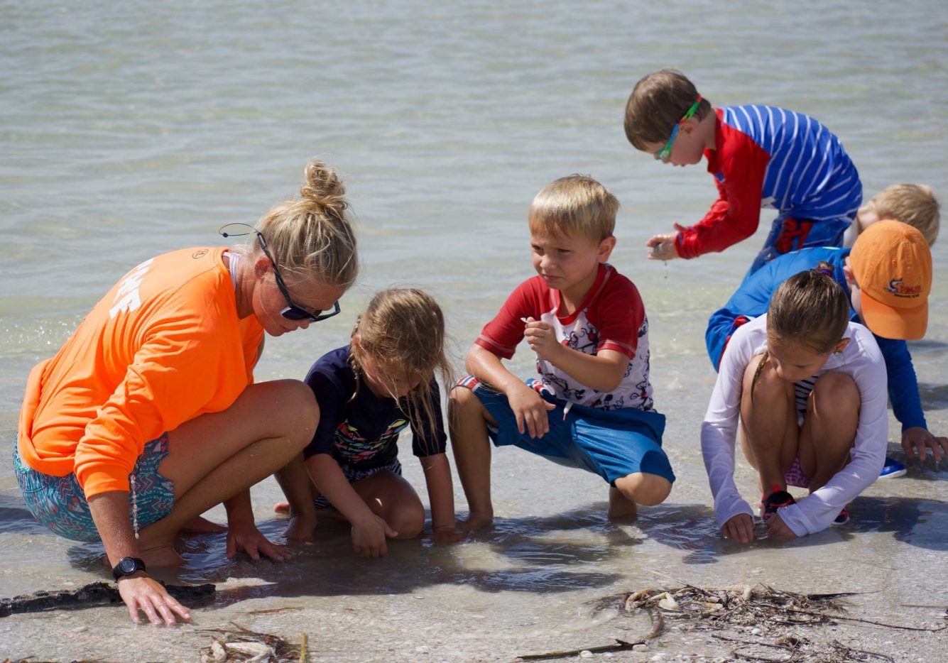 img-5c8a6b89104c7bc3702ffba2