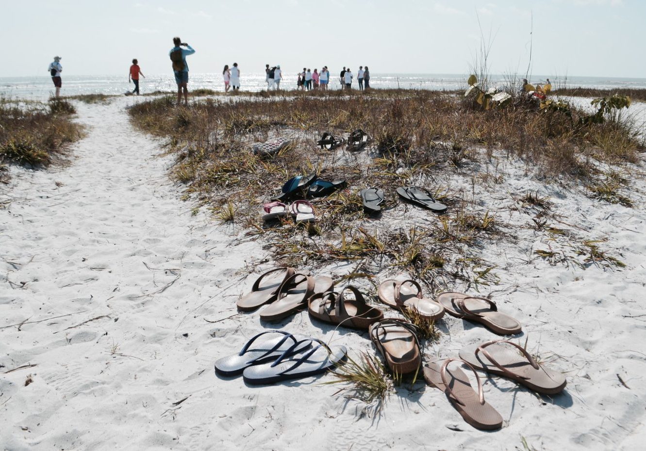 img-5bbe6326f4e1fc51947d8c1a