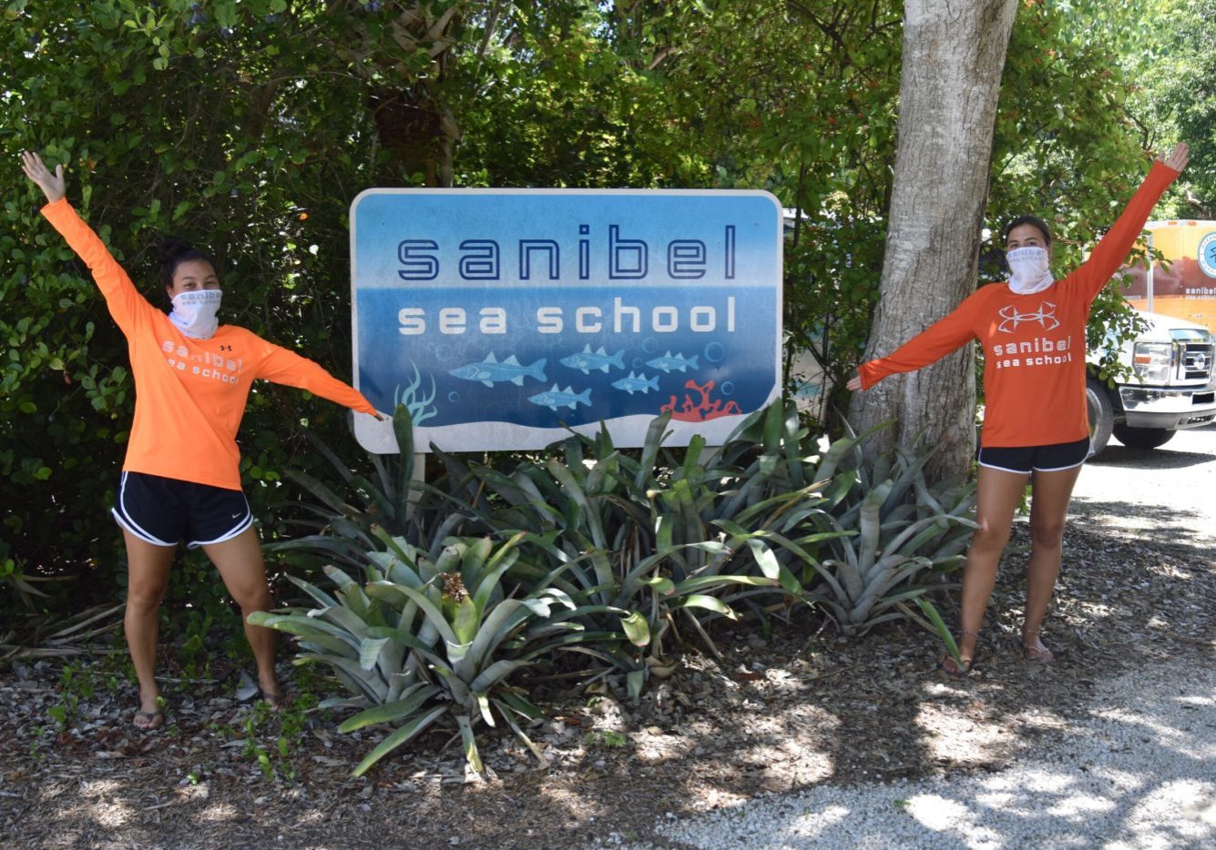 img-5f19aa10d165916fd74f2c7c