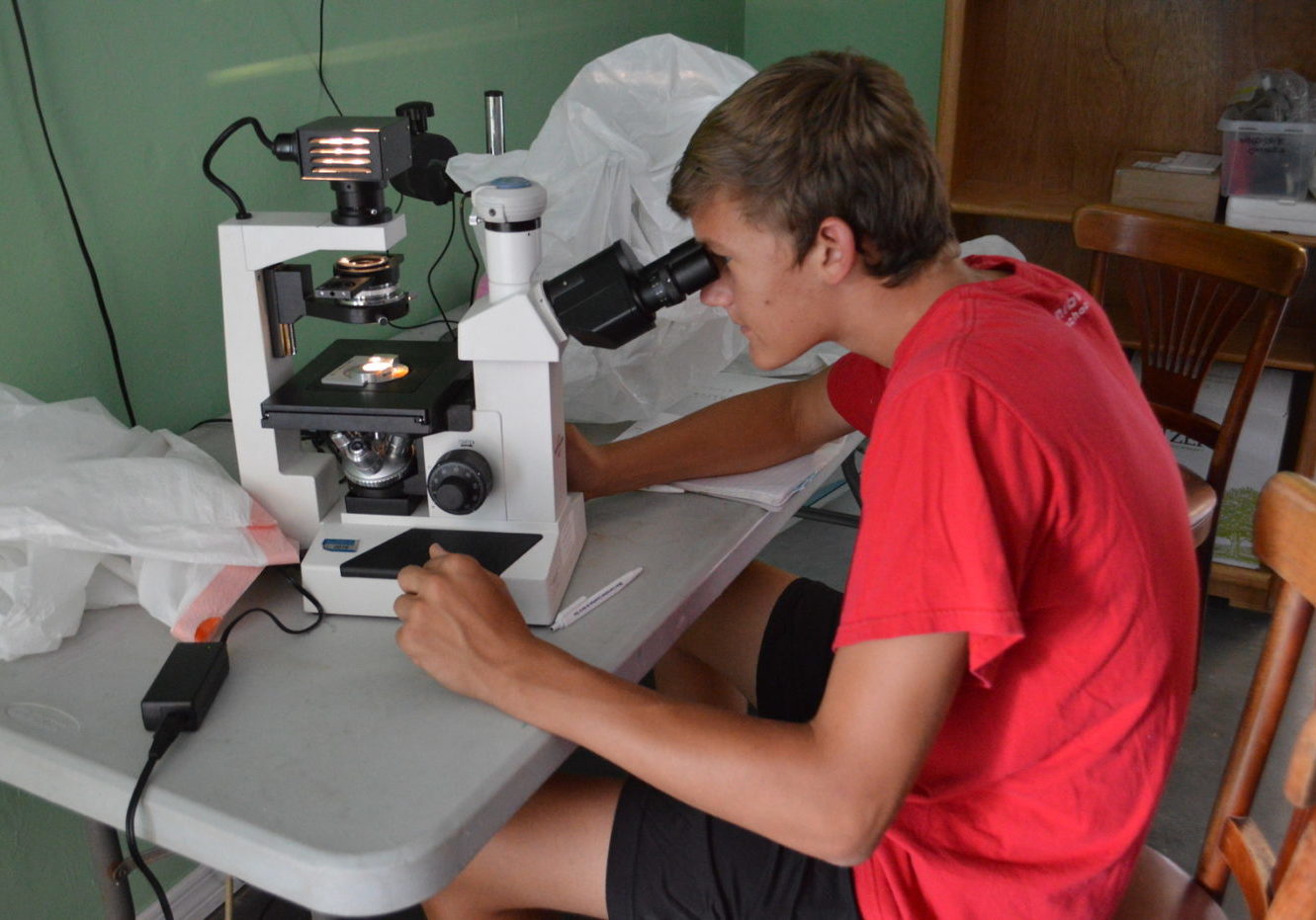 img-5ba162558a922d6877d788a2