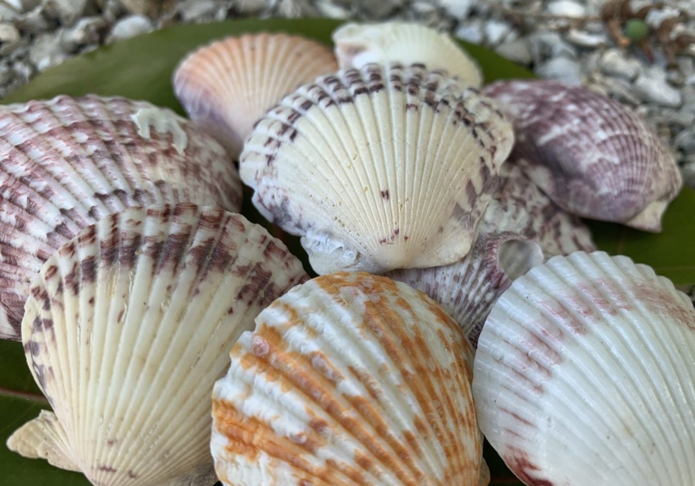 img-5f3bfe211715d174c93439bc