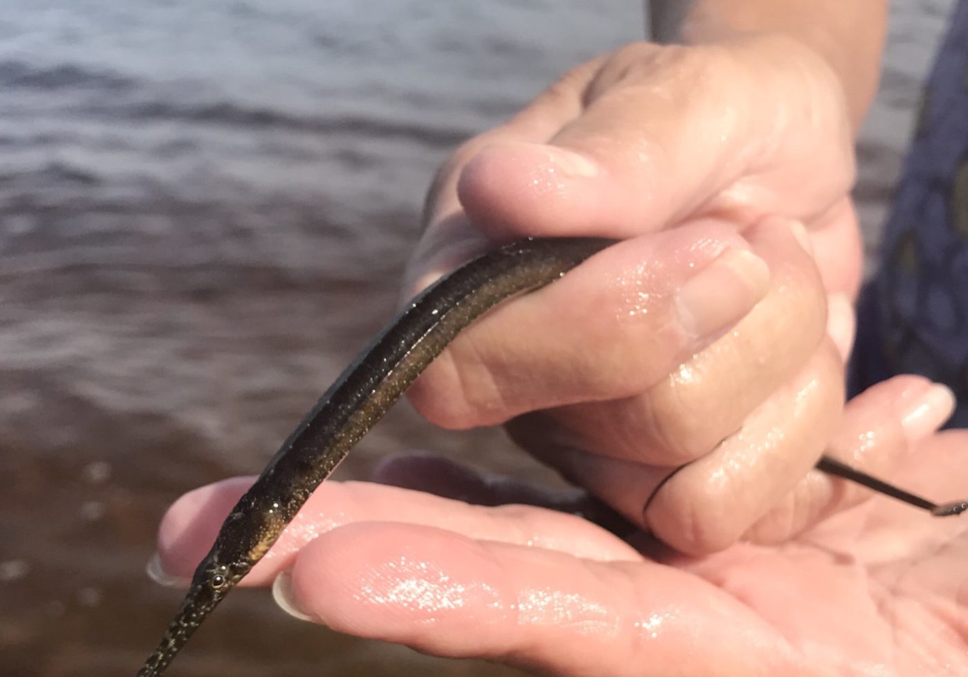 img-5f4fa3d79f204a295a3c9927