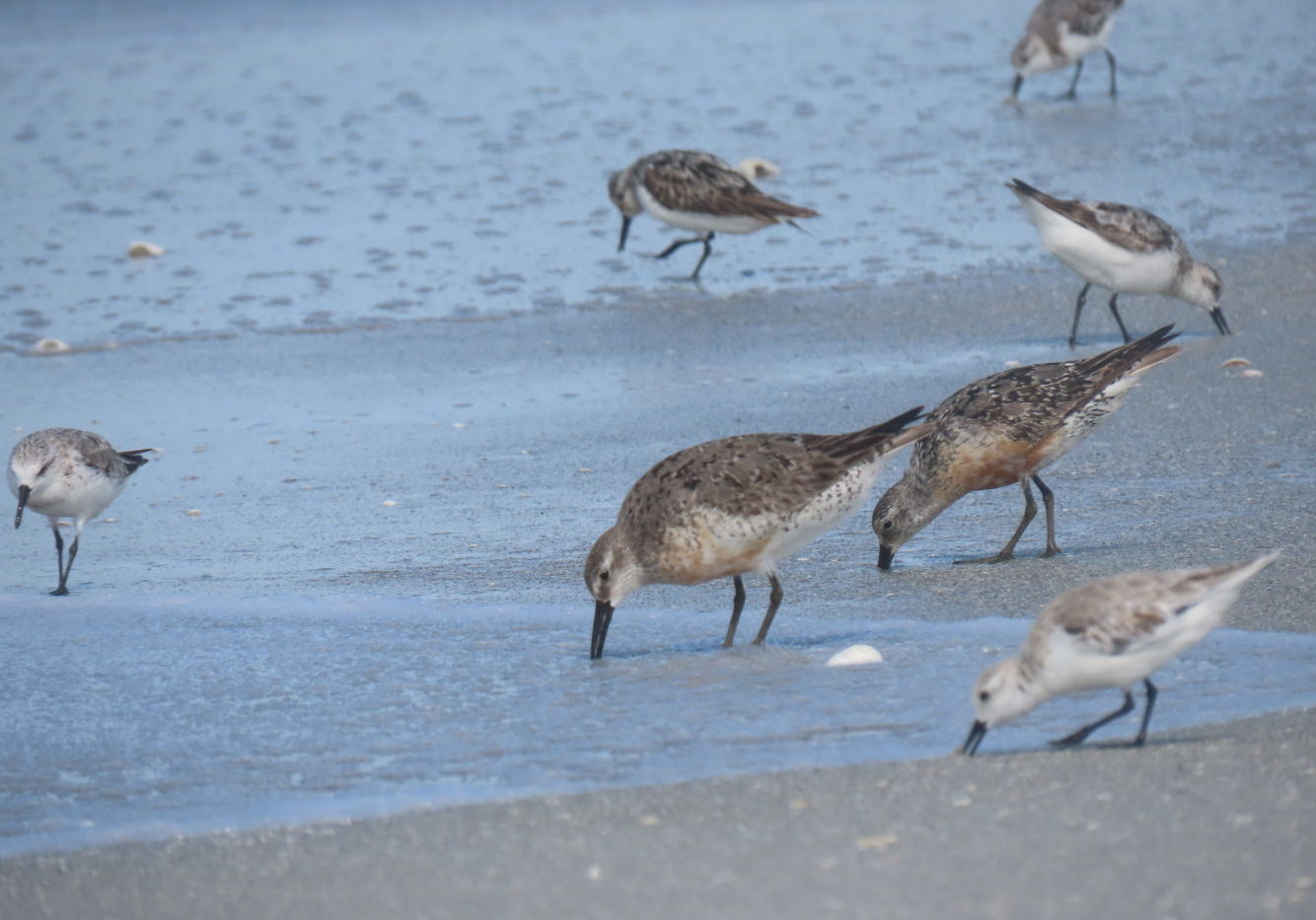 bxdrhdvqtm8h86qonroc