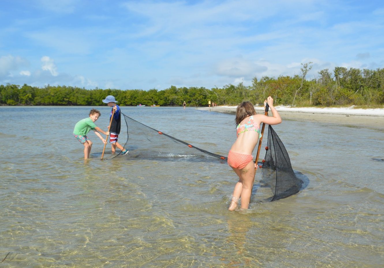 ddhxo7zac3pnj3ts7lns