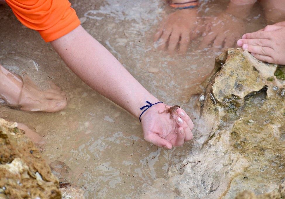 img-60f976fd9f96d85b0b98f071