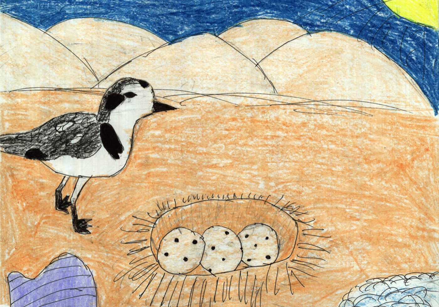 m8rpsj13fj6odyz3z1gy