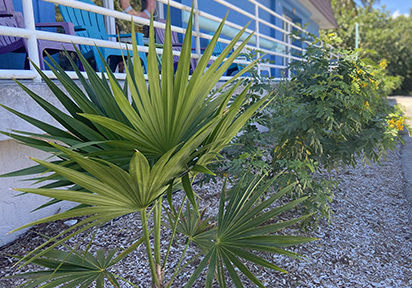 m9yx71brdpd5izhlpyvr