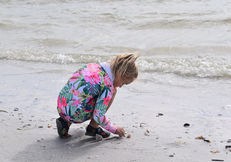 mfovrdns1psyhhxwslwc