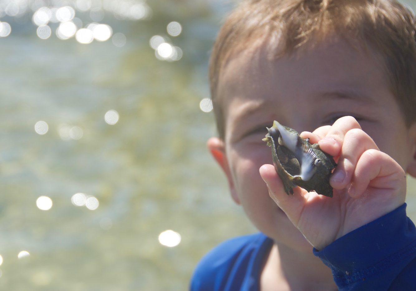 mt3tic00k3yikg01wg2n