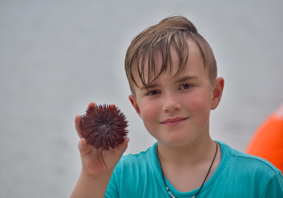 qao7juxp4x4jeymwu1k8