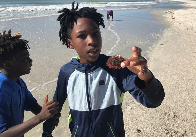 skzep8kxztefu9qfx7ld