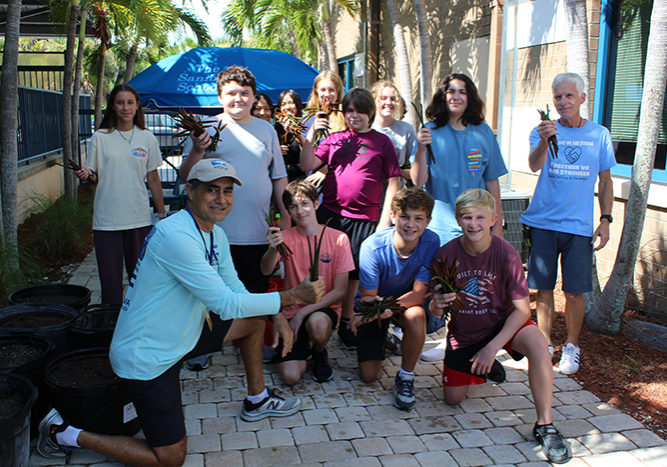 uussjh3mmnaa6dwdwbat