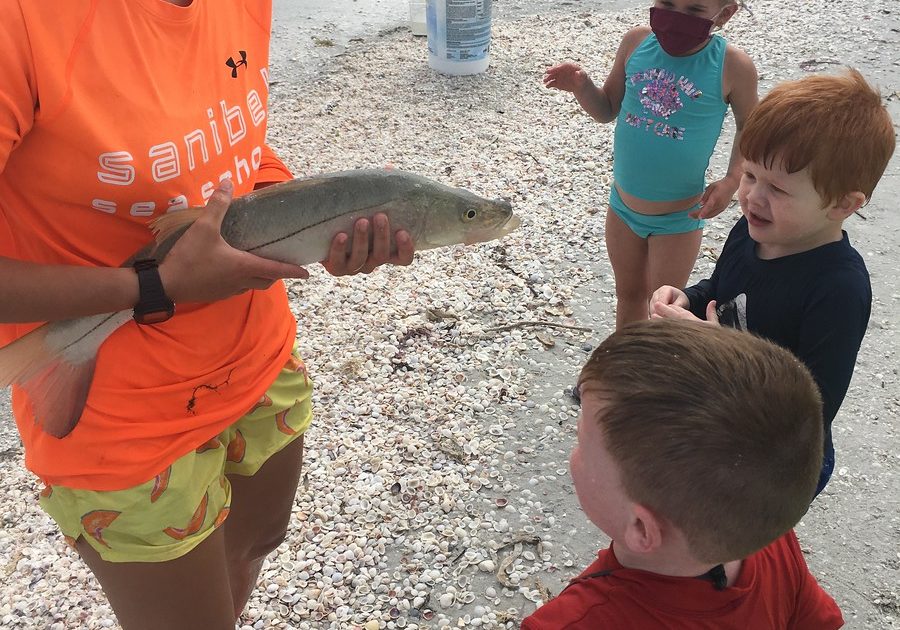 xdvtvw2h0isij5vytnt6