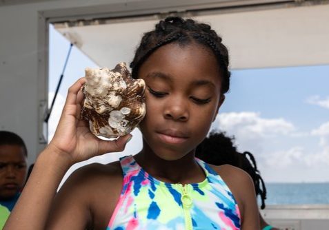 z1hso9ohcdeei7yraqte